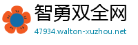 智勇双全网